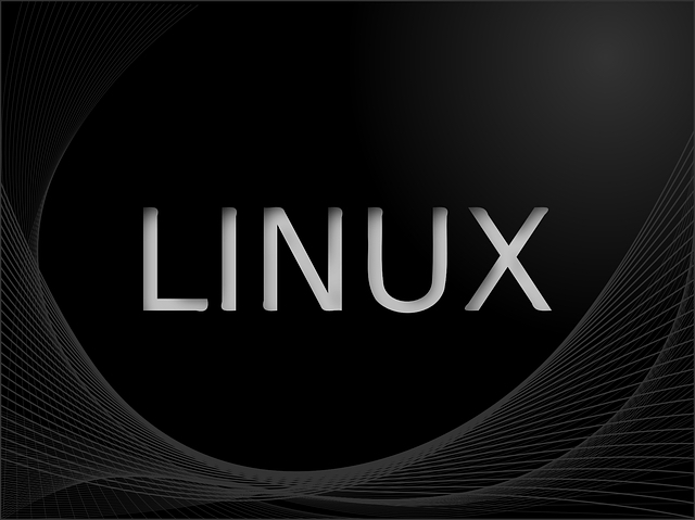 Linux logo