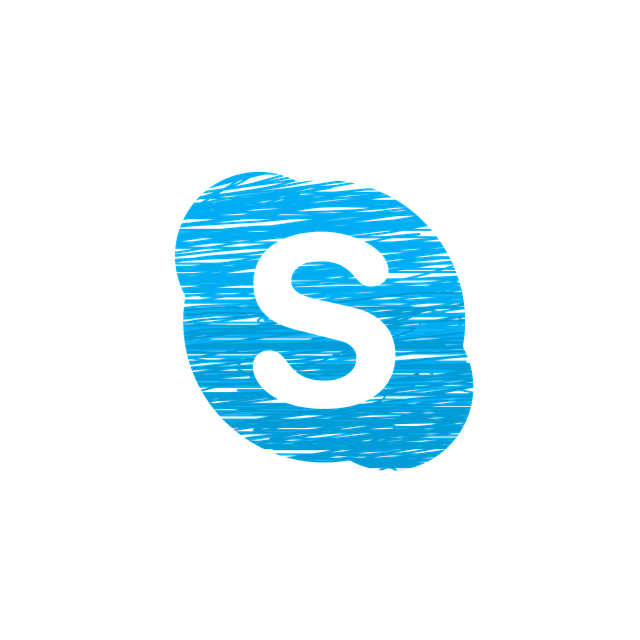 Skype Logo