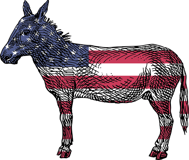 Donkey with American flag