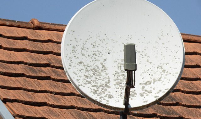 Satellite dish on house roof